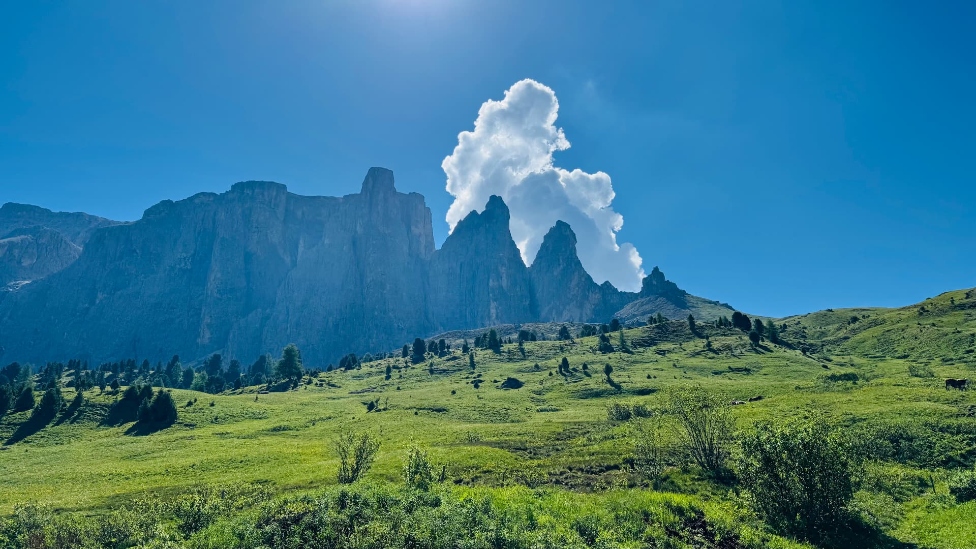 Sella group and Sassolungo peaks rising above green alpine meadows in the Italian Dolomites — the classic Sella Pass road-trip view
